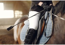 Horse riding lux, matériels d’équitation et accessoires pour chevaux